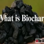 Biochar