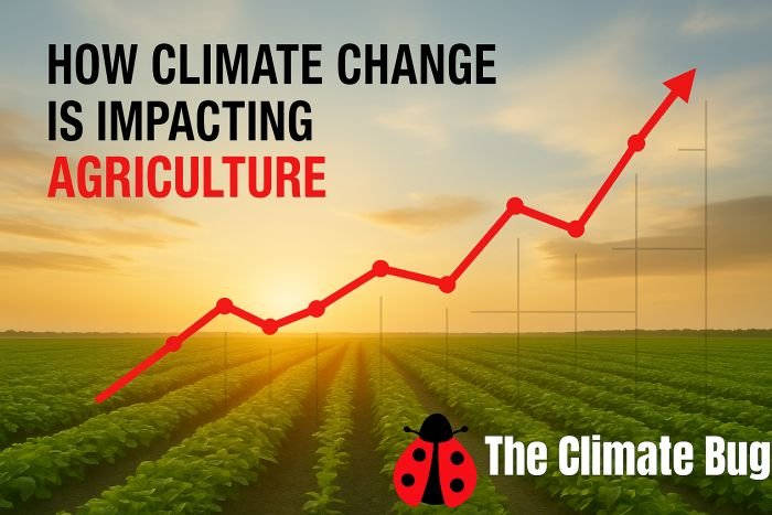 agriculture and climate change