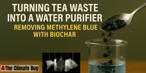tea waste being transformed into biochar, used to purify water by removing methylene blue dye