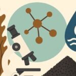 marine-derived materials for water purification,